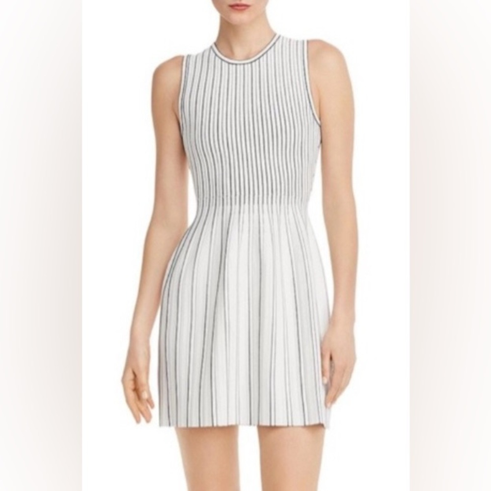 Theory Structured Shell Lustrate
White & Black Striped A-Line Dress